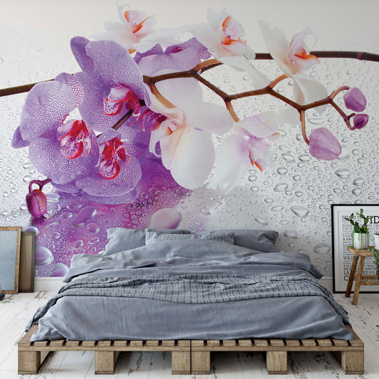 Flowers Orchids Spa Photo Wallpaper Wall Mural - USTAD HOME