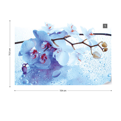 Flowers Orchids Spa Photo Wallpaper Wall Mural - USTAD HOME