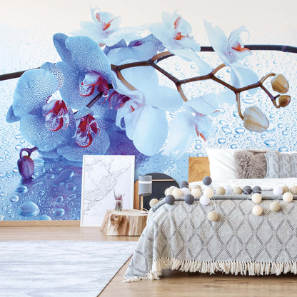 Flowers Orchids Spa Photo Wallpaper Wall Mural - USTAD HOME