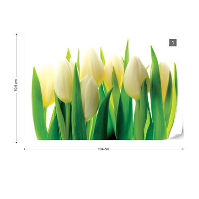 Flowers Tulips Photo Wallpaper Wall Mural - USTAD HOME