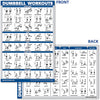 Dumbbell Workout Exercise Poster - USTAD HOME