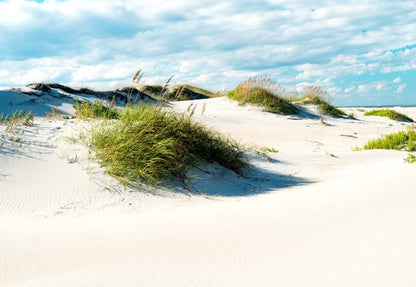 Afternoon in the Dunes Wallpaper - USTAD HOME