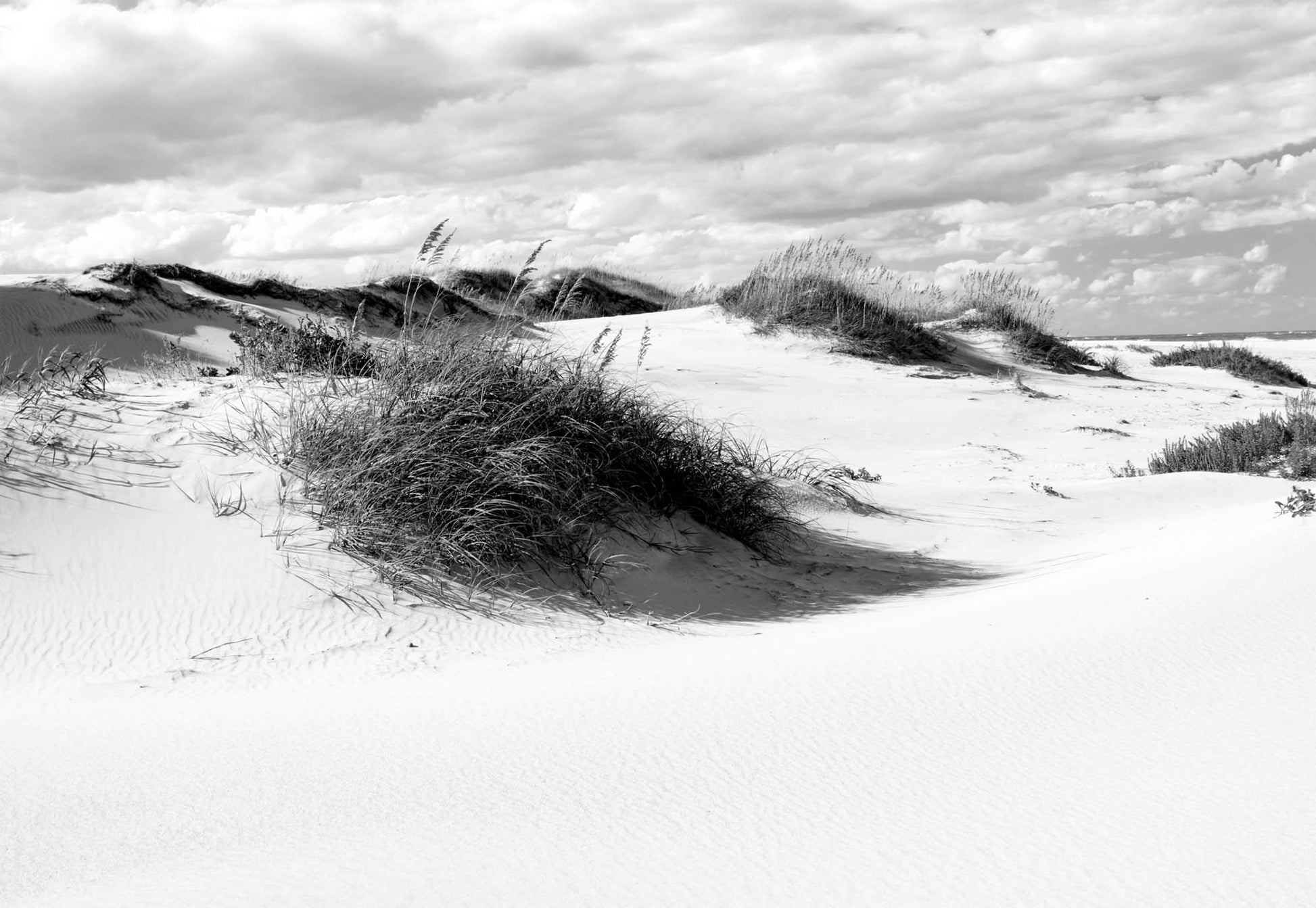 Afternoon in the Dunes Black and White Wallpaper - USTAD HOME