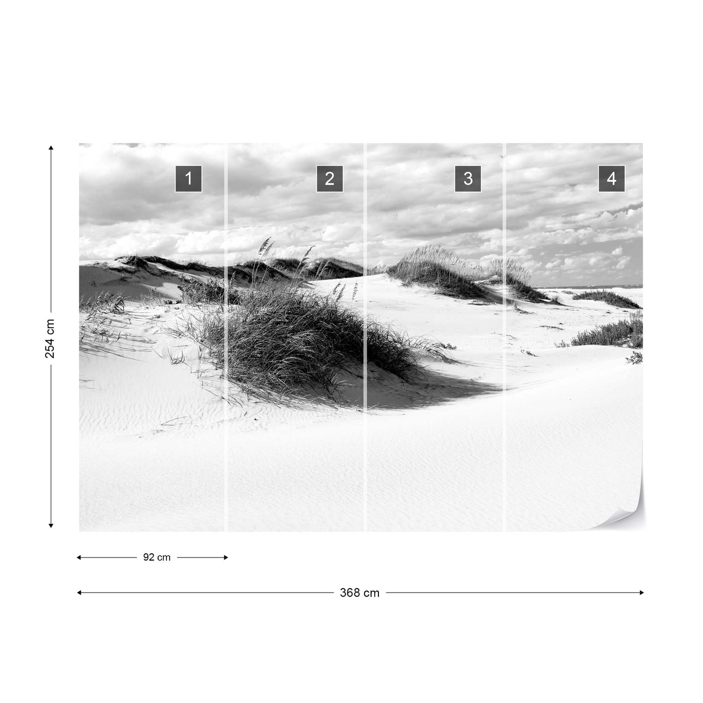 Afternoon in the Dunes Black and White Wallpaper - USTAD HOME
