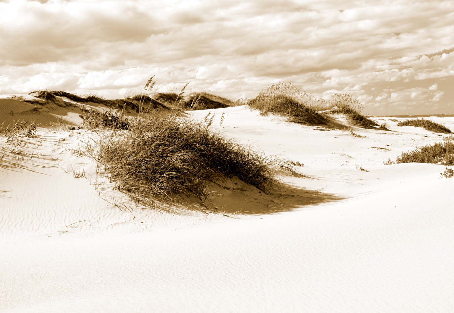 Afternoon in the Dunes in Sepia Wallpaper - USTAD HOME