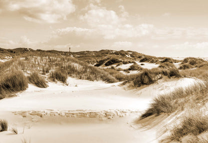 Dune Paradise in Sepia Wallpaper - USTAD HOME