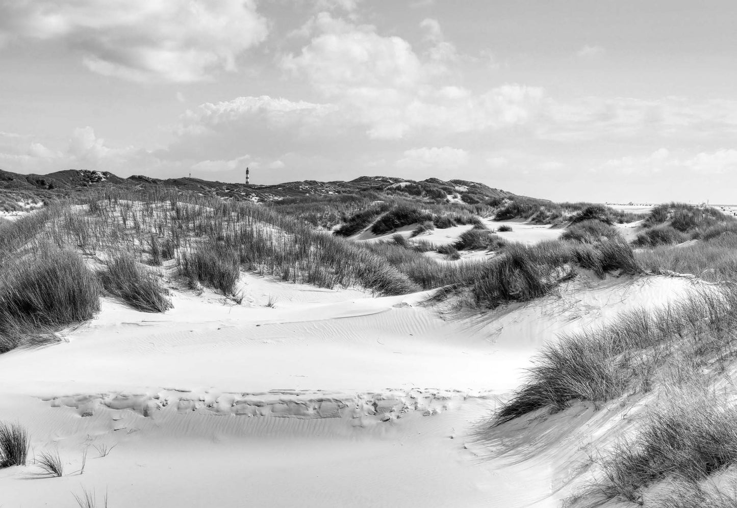 Dune Paradise in Black and White Wallpaper - USTAD HOME