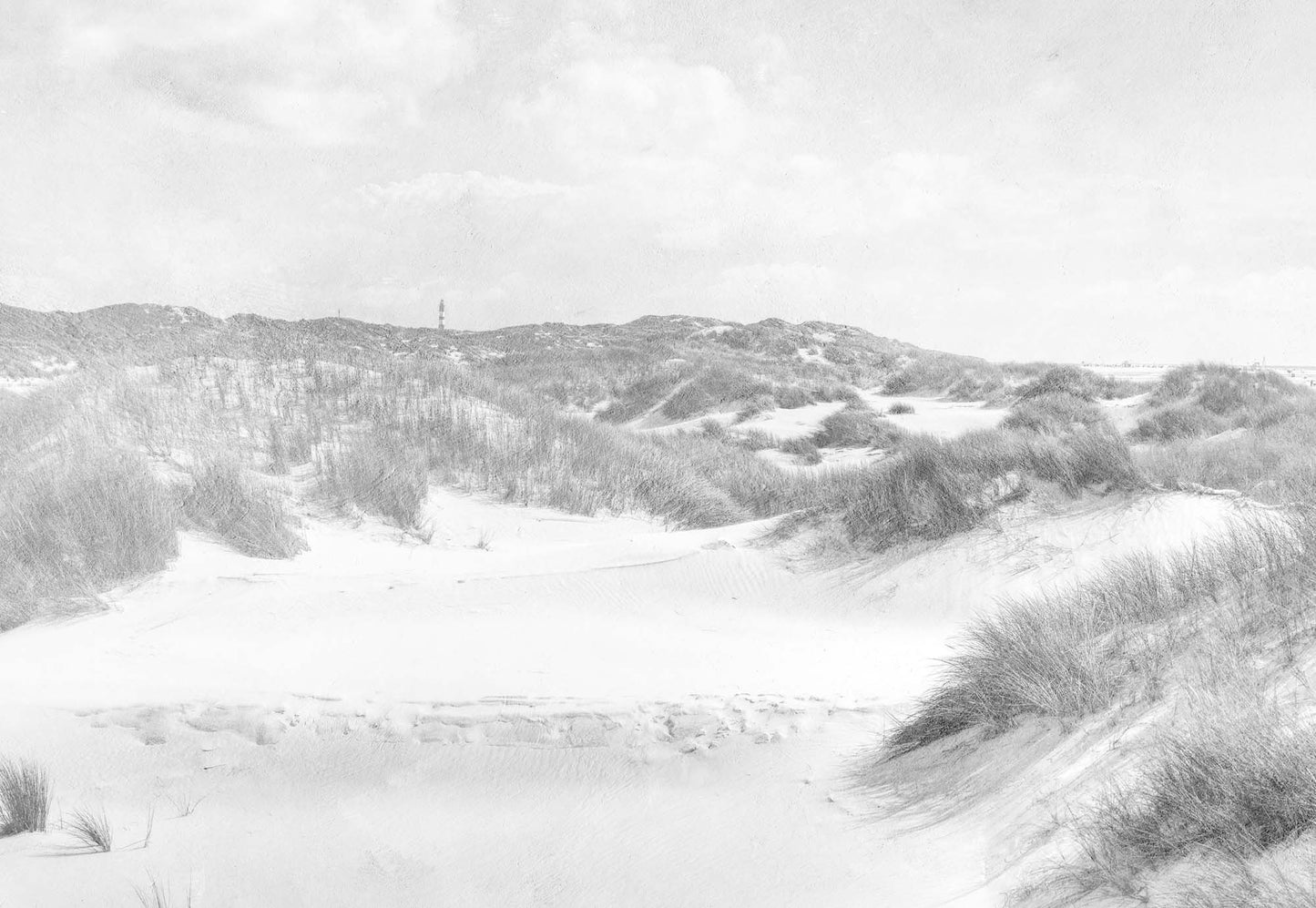 Dune Paradise Faded Vintage in Black and White Wallpaper - USTAD HOME