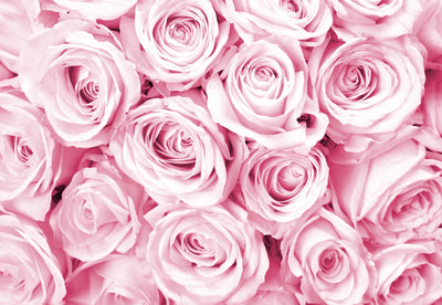 Rose Bouquet Pink Wallpaper Waterproof for Rooms Bathroom Kitchen - USTAD HOME