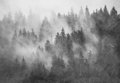 Forest in the Mist Textured Black and White Wallpaper Waterproof for Rooms Bathroom Kitchen - USTAD HOME