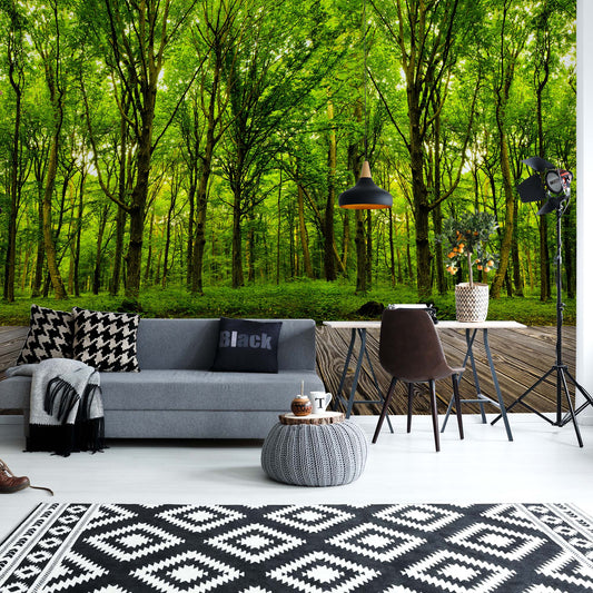 Step into the deep green Wood Wallpaper - USTAD HOME