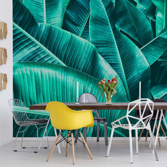 Banana Leaves Wallpaper - USTAD HOME