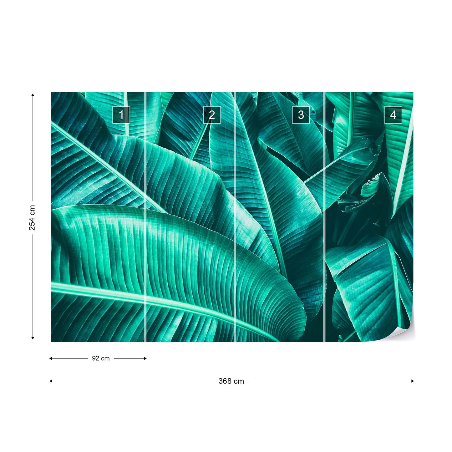 Banana Leaves Wallpaper - USTAD HOME