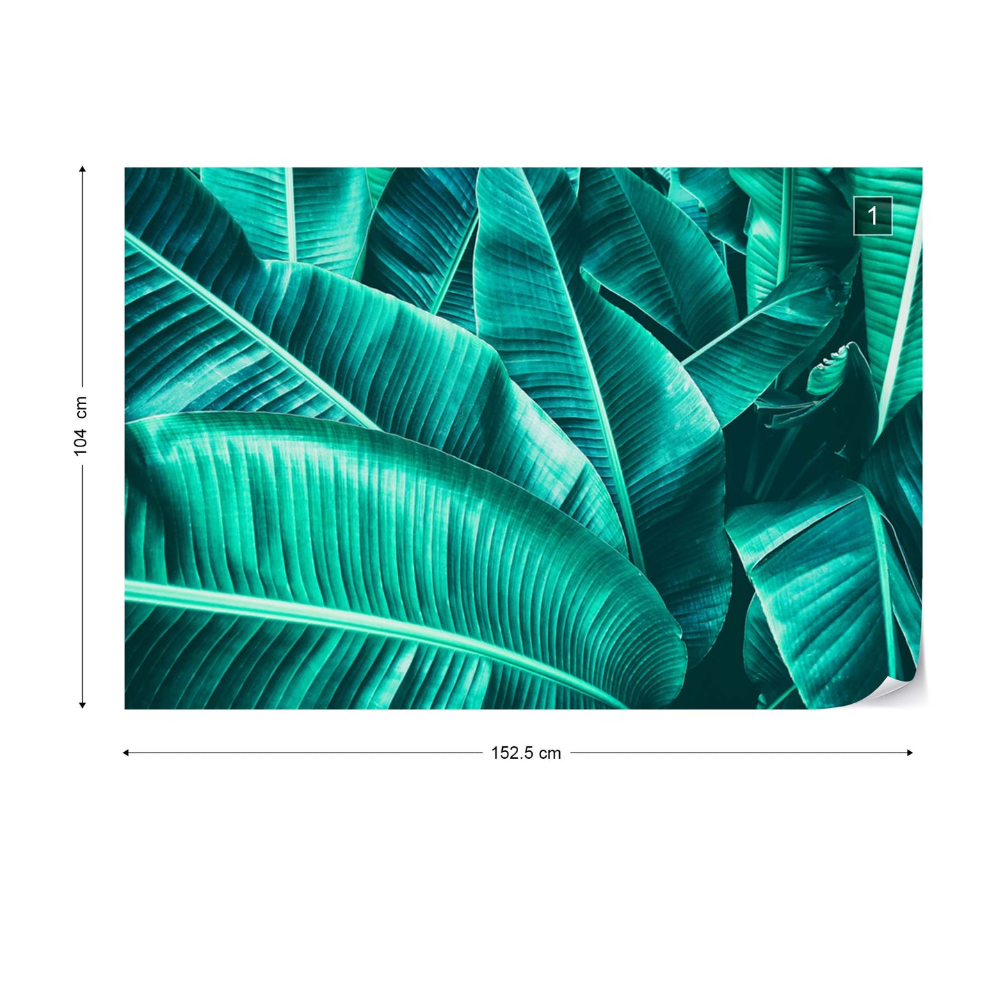 Banana Leaves Wallpaper - USTAD HOME