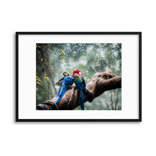 Gossip Framed Print - USTAD HOME