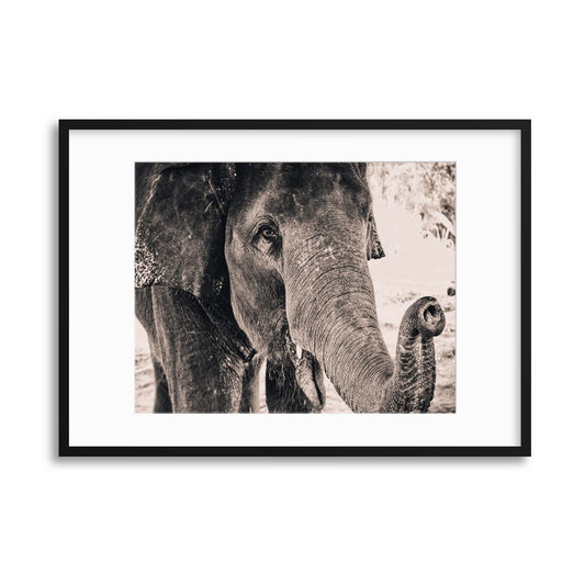 Gentle Giant Framed Print - USTAD HOME