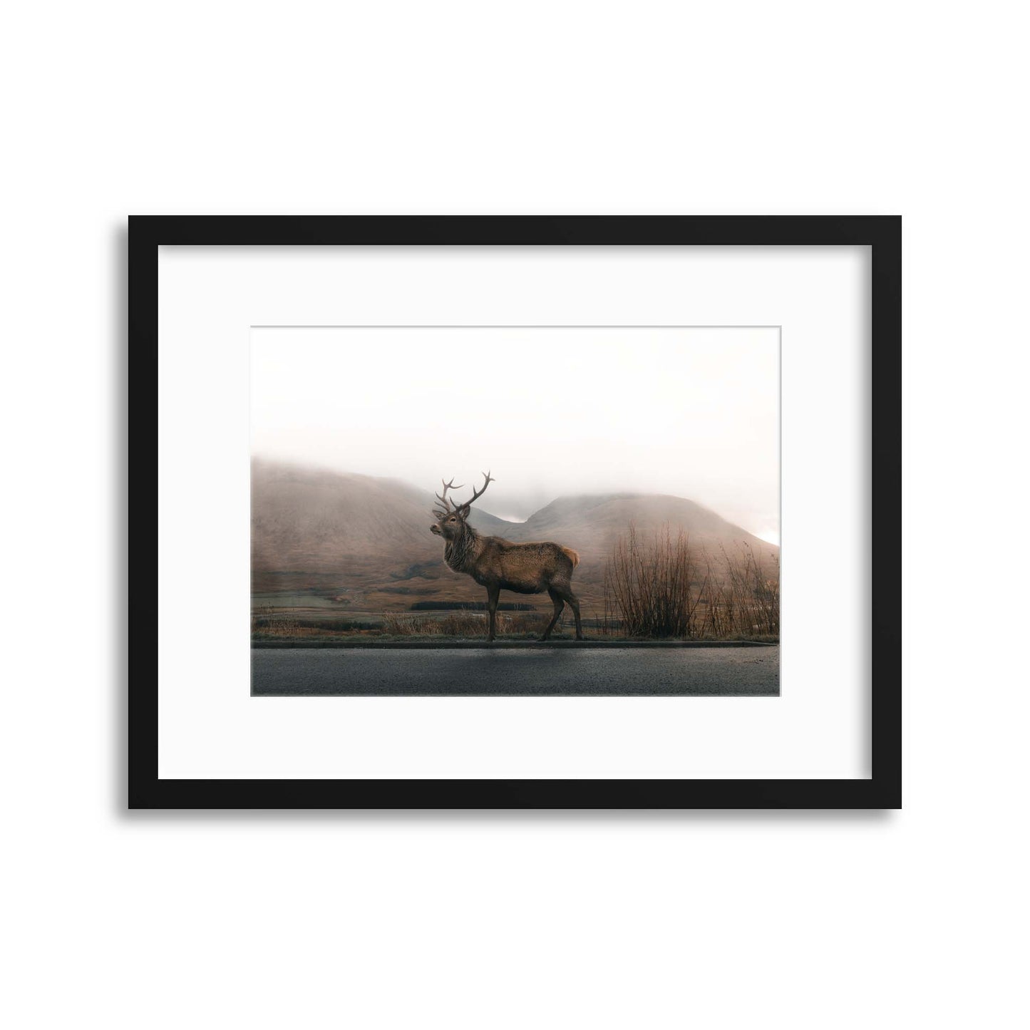 Majestic in the Highland Mist Framed Print - USTAD HOME