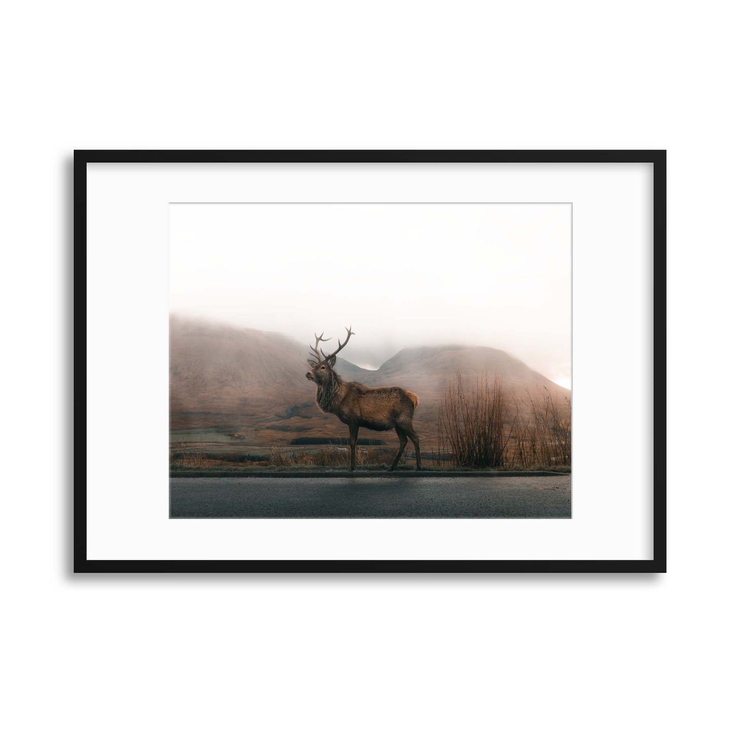 Majestic in the Highland Mist Framed Print - USTAD HOME