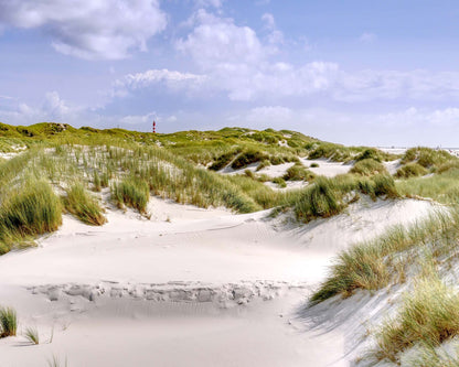 Ostsee Dunes Framed Print - USTAD HOME