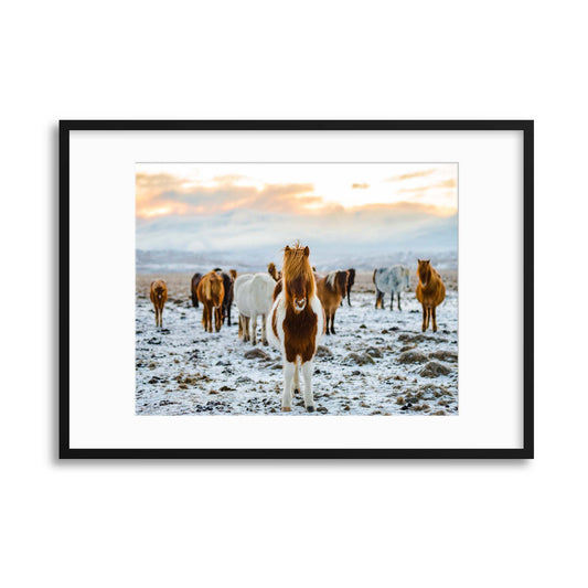 The Gang Framed Print - USTAD HOME