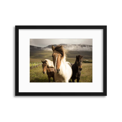 Icelandic Boyband Framed Print - USTAD HOME