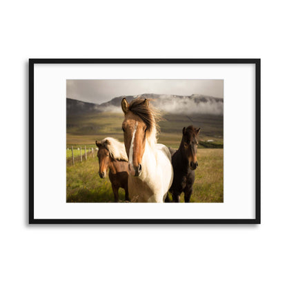 Icelandic Boyband Framed Print - USTAD HOME