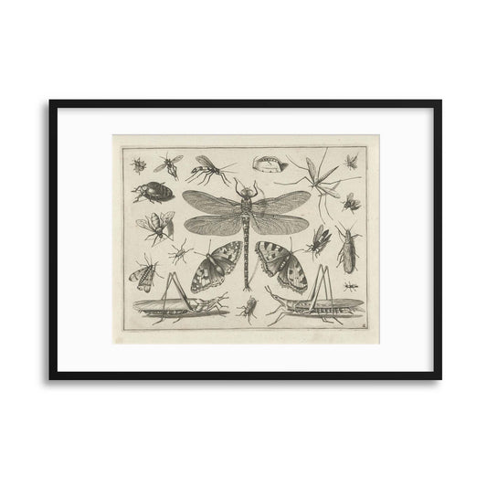 Insects, Vintage Illustration Framed Print - USTAD HOME