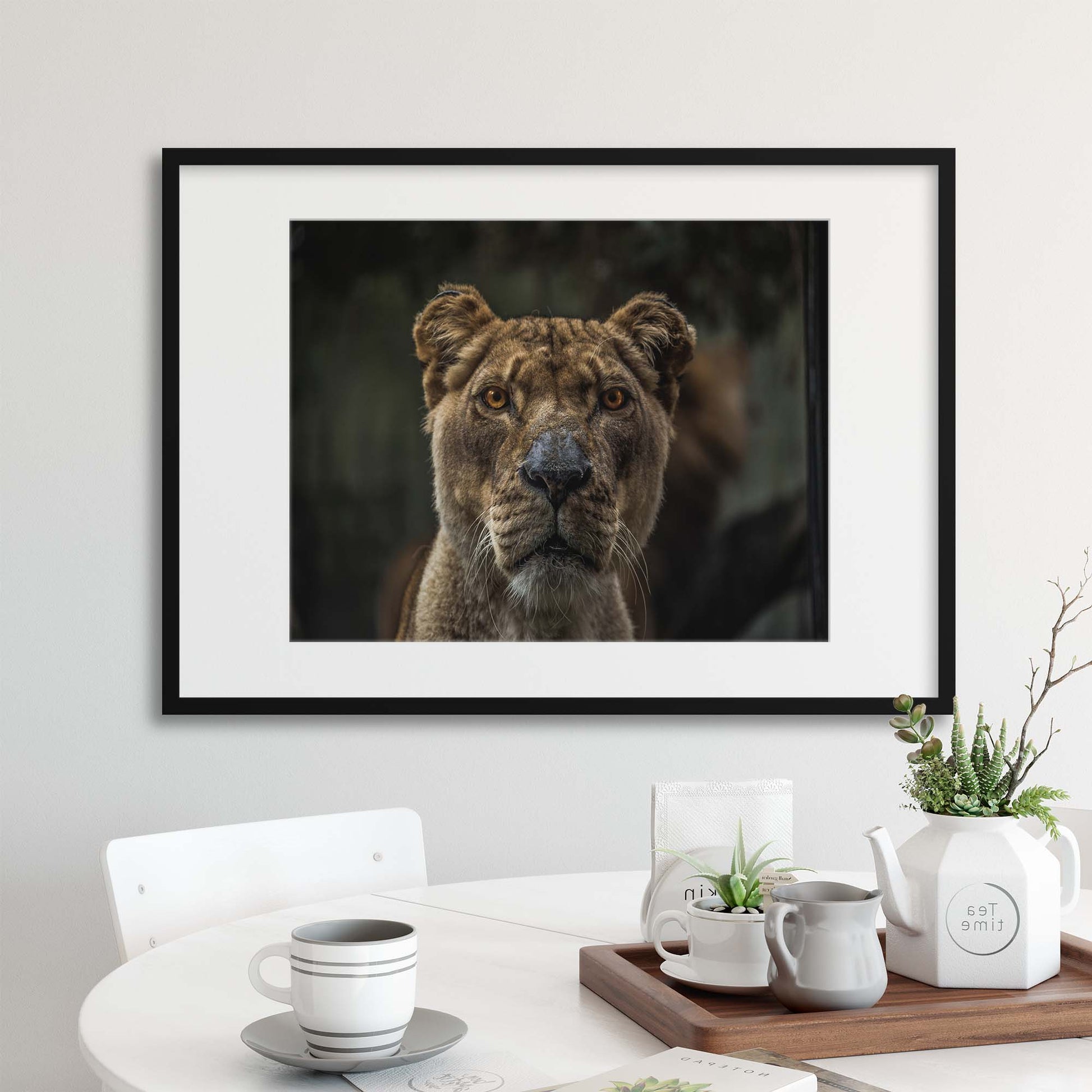 Lioness Framed Print - USTAD HOME