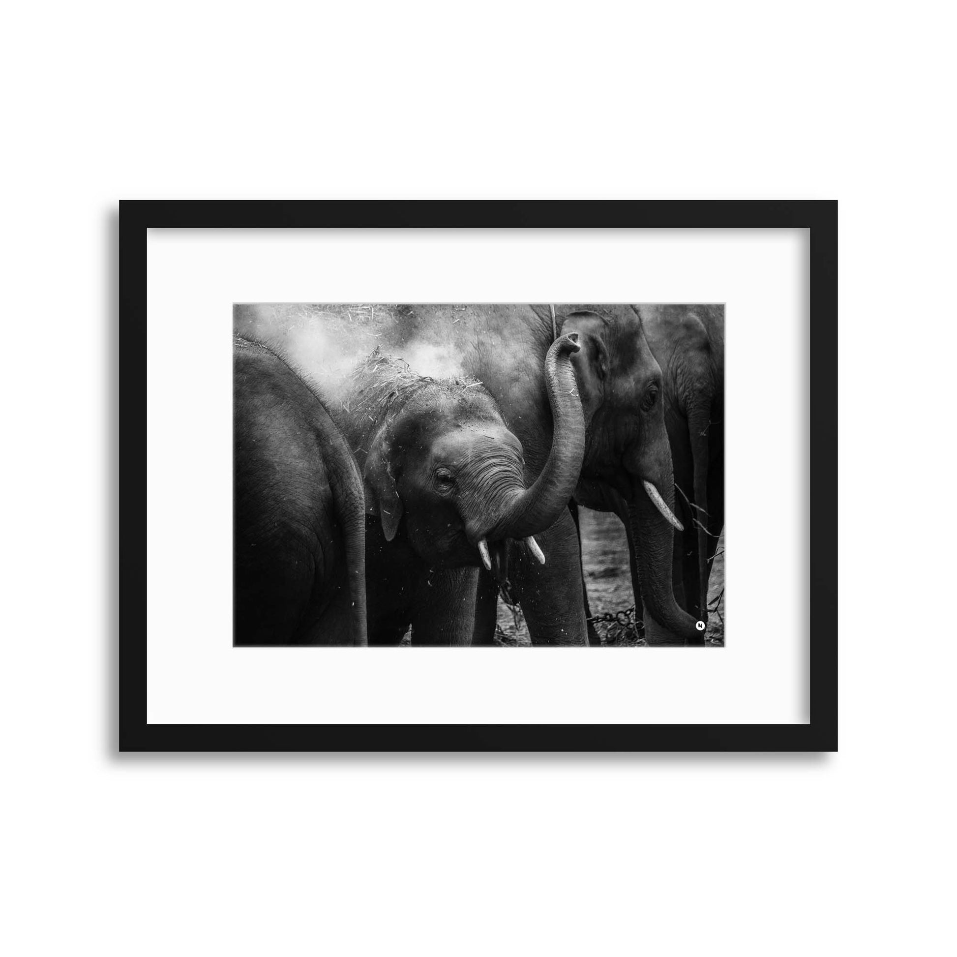 The Trumpet Player Framed Print - USTAD HOME