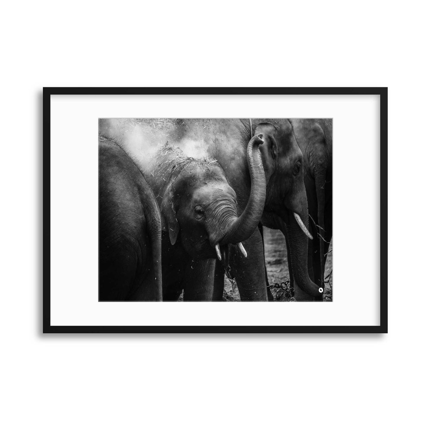 The Trumpet Player Framed Print - USTAD HOME