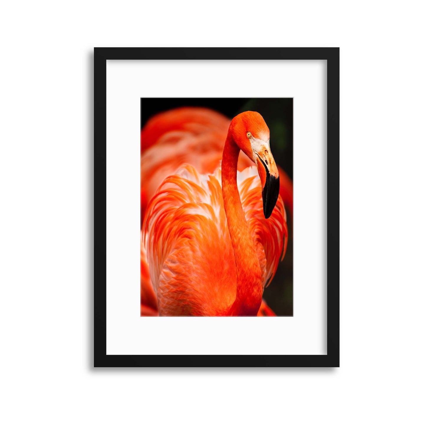 Deep Pink Framed Print - USTAD HOME