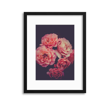 Pink Petals Framed Print - USTAD HOME