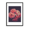 Pink Petals Framed Print - USTAD HOME