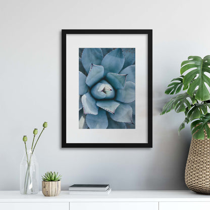 Agave Framed Print - USTAD HOME