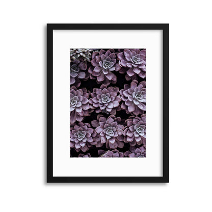 Purple Symmetry Framed Print - USTAD HOME