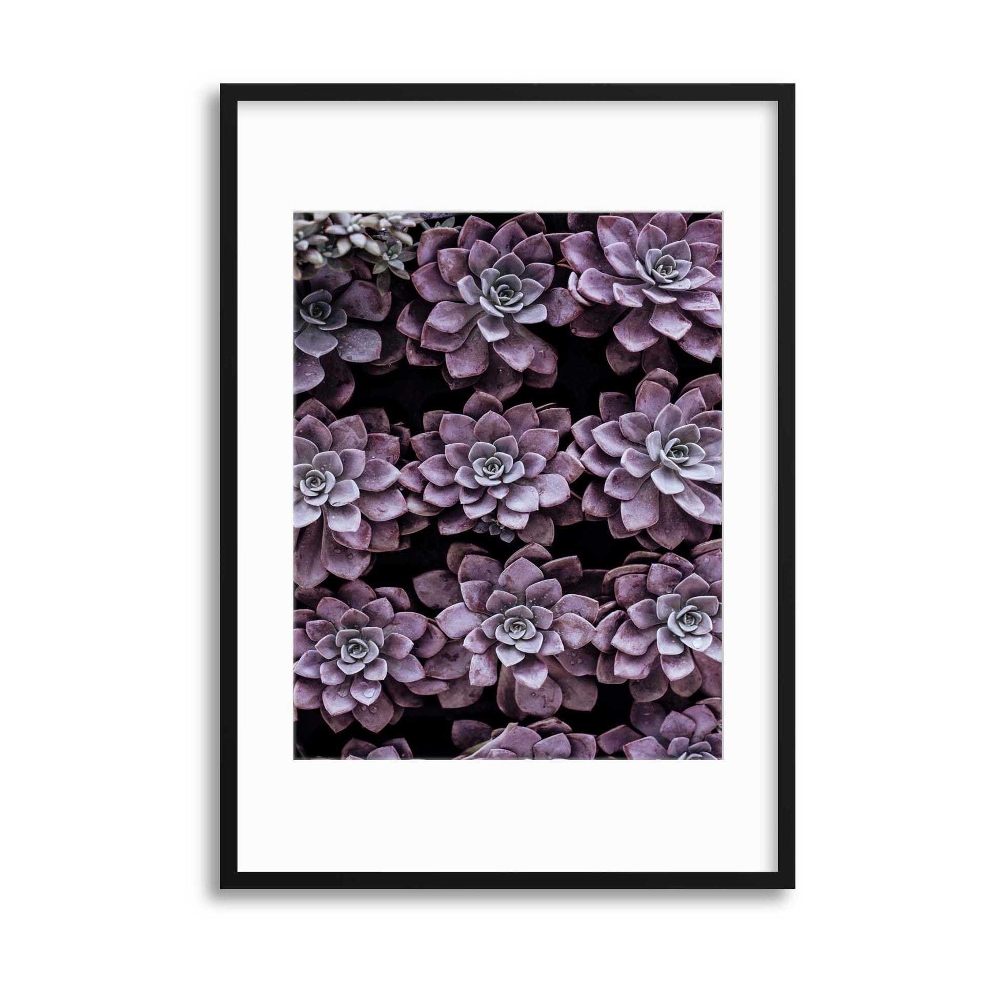 Purple Symmetry Framed Print - USTAD HOME