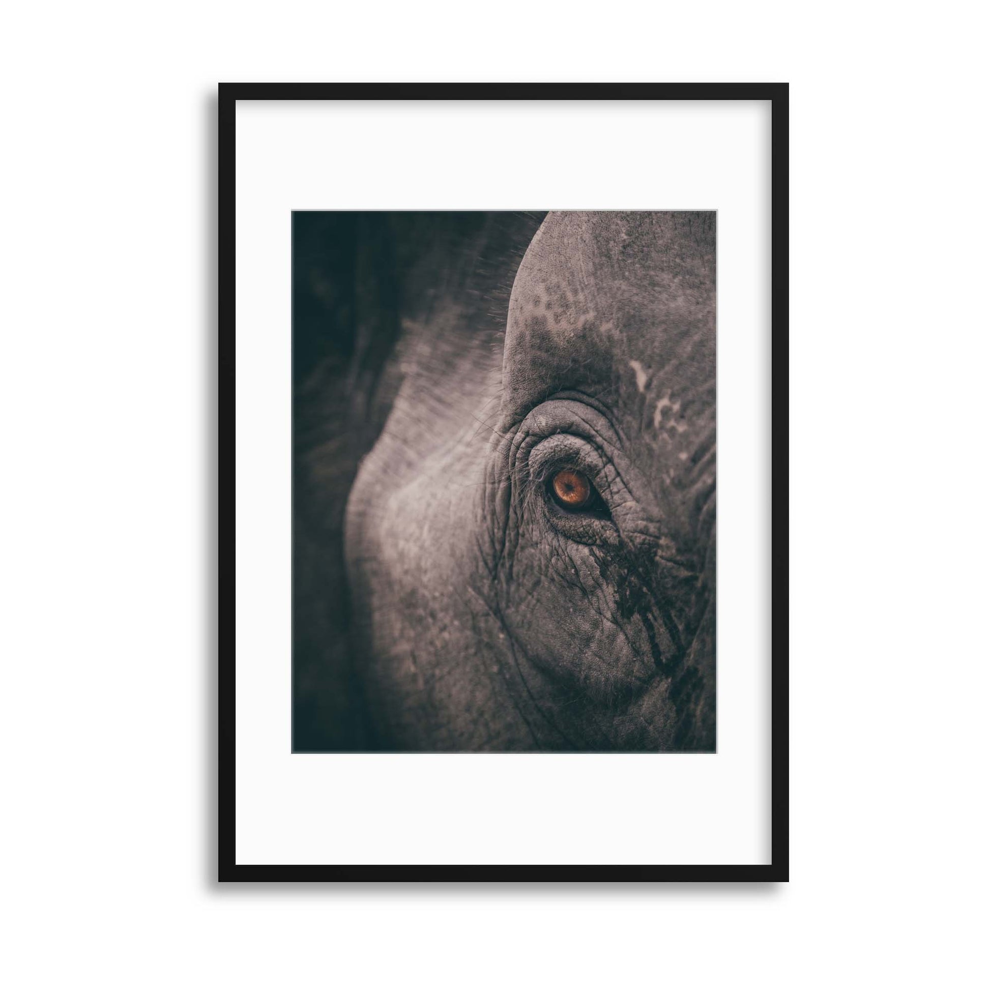Elephant Eye Framed Print - USTAD HOME