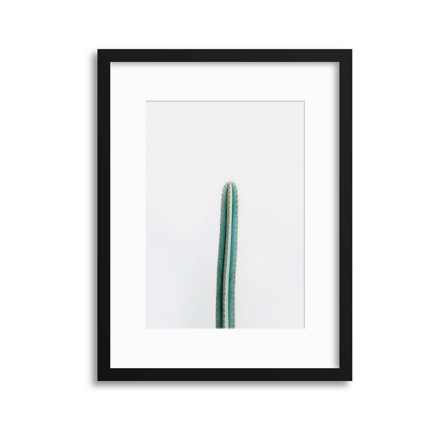 Cactus Framed Print - USTAD HOME