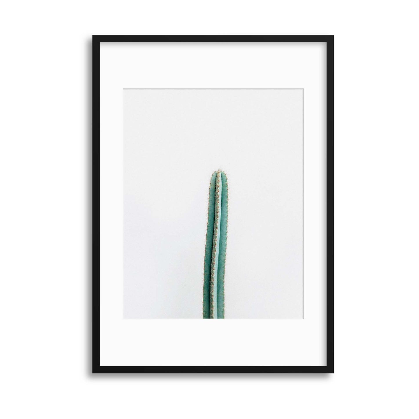 Cactus Framed Print - USTAD HOME