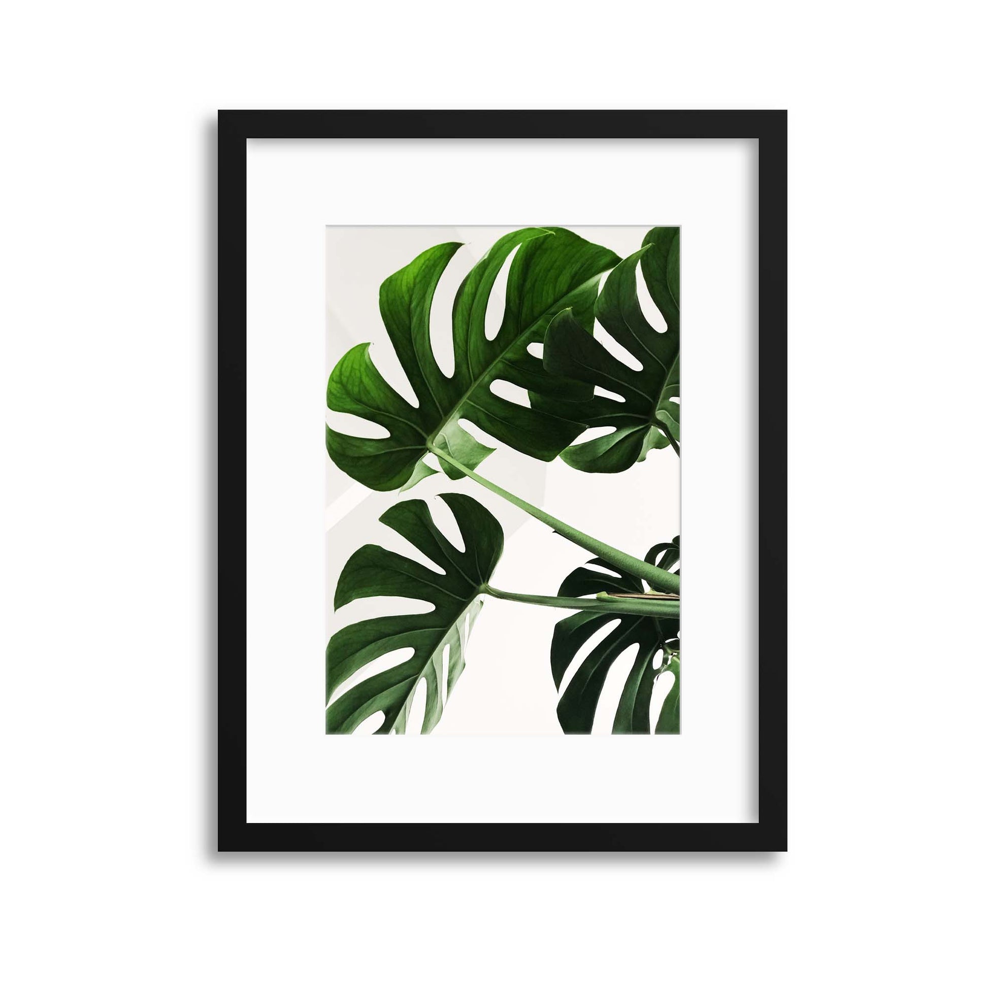 Monstera Leaves Framed Print - USTAD HOME