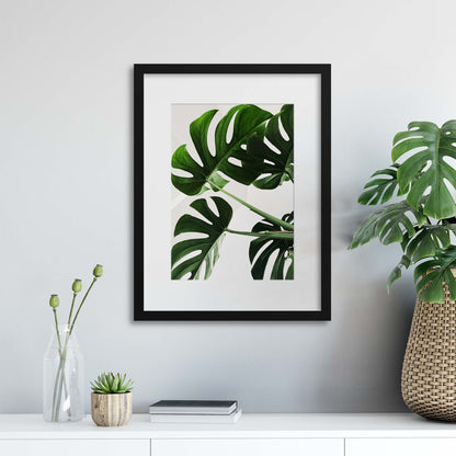 Monstera Leaves Framed Print - USTAD HOME