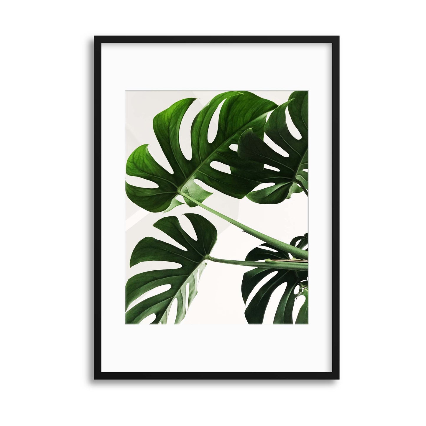 Monstera Leaves Framed Print - USTAD HOME