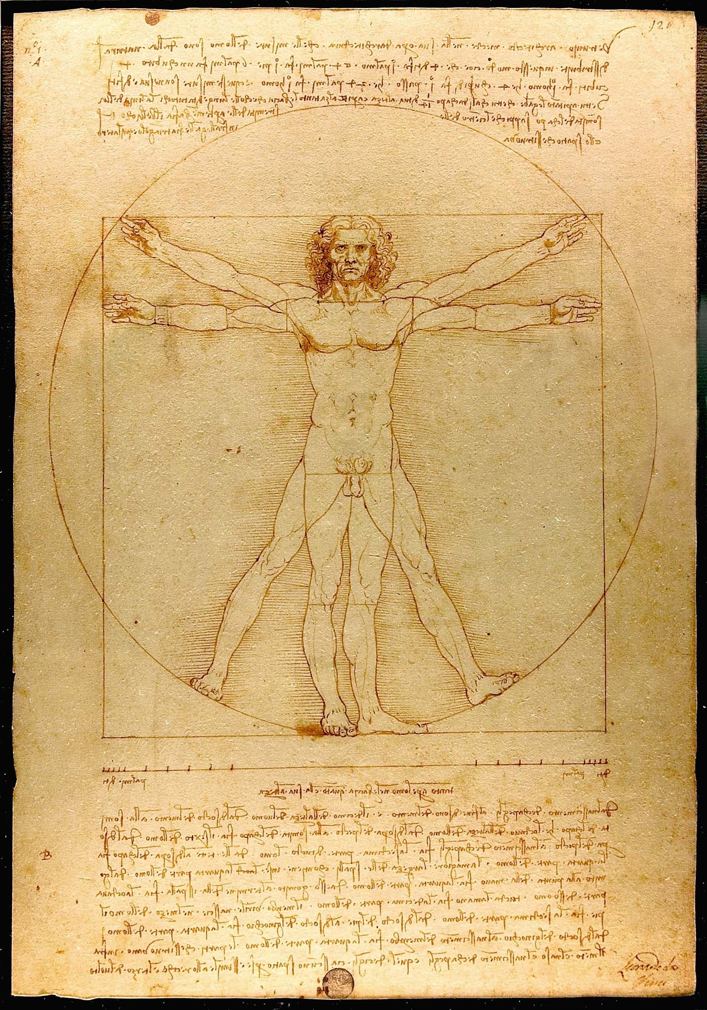 Leonardo da Vinci, &quot;The Vitruvian Man&quot; Framed Print - USTAD HOME