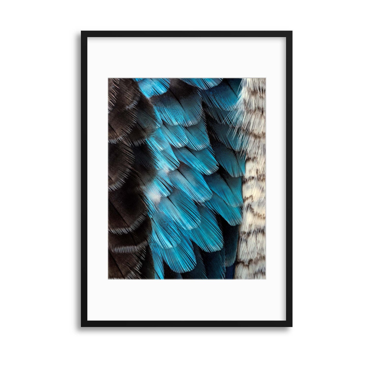 Parrot Colours Framed Print - USTAD HOME