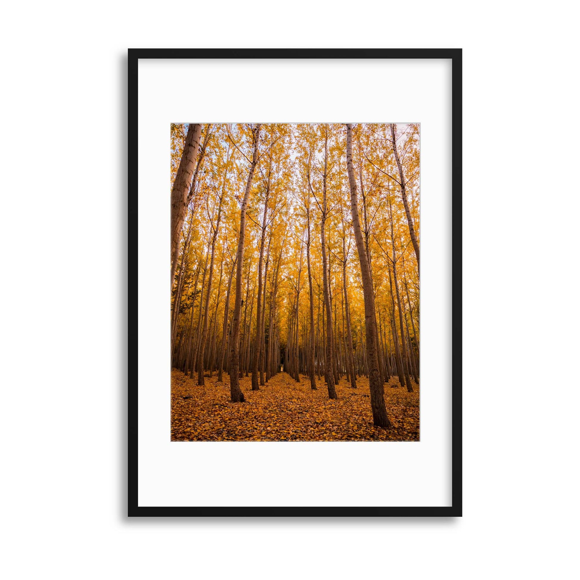 Autumn Walk Framed Print - USTAD HOME