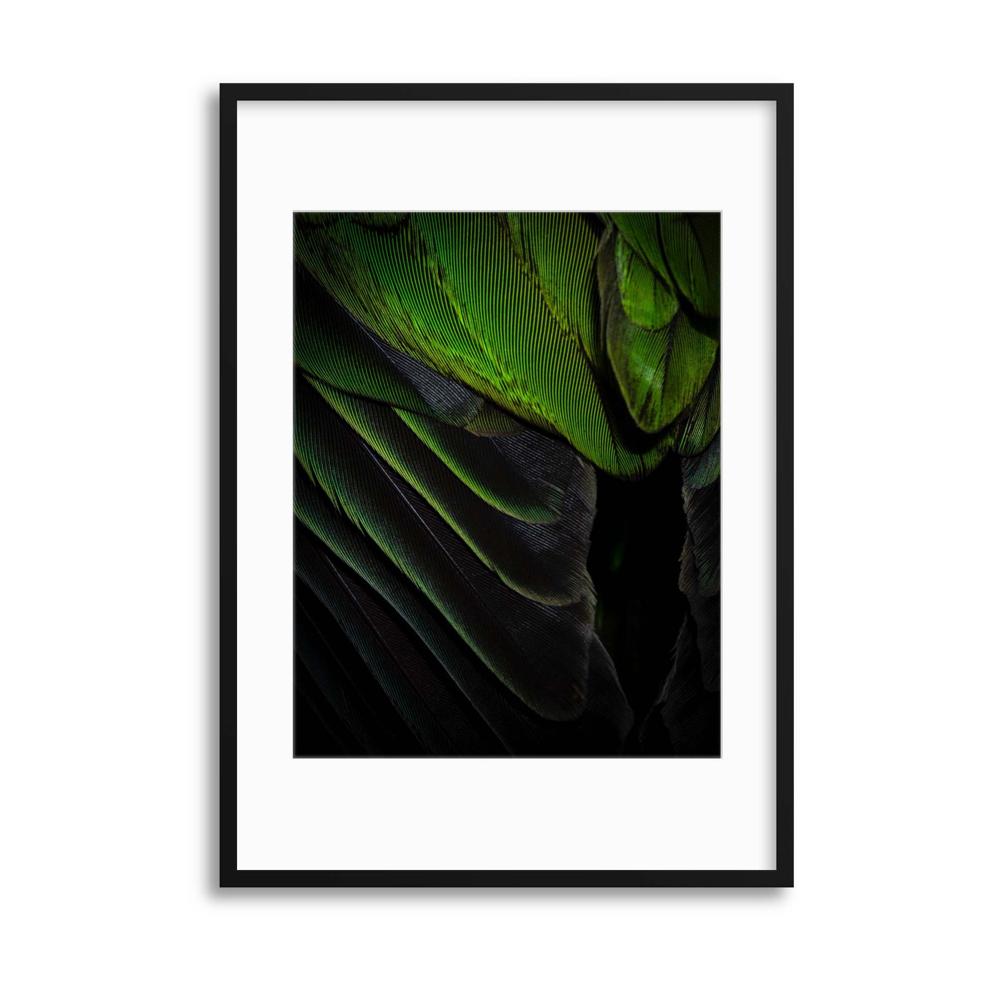 Regal Cloak Framed Print - USTAD HOME