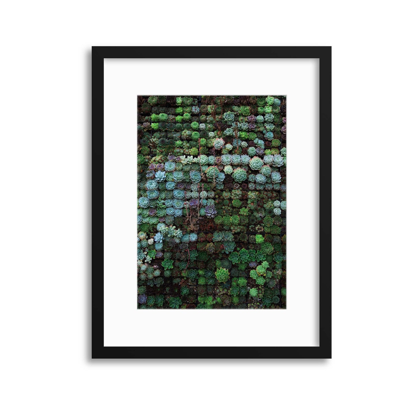 Succulent Dots Framed Print - USTAD HOME
