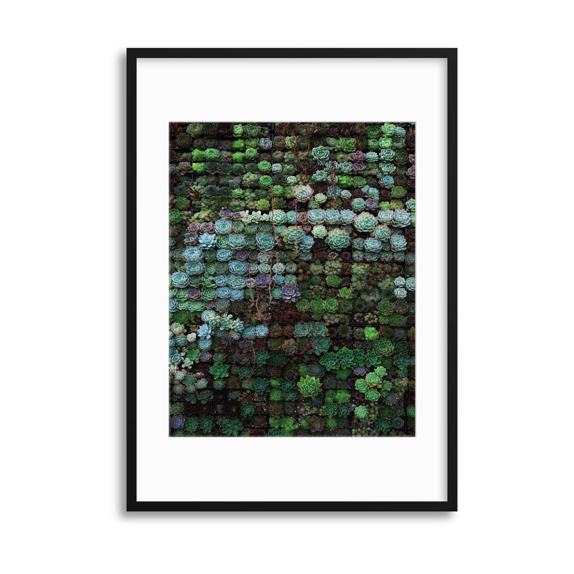 Succulent Dots Framed Print - USTAD HOME