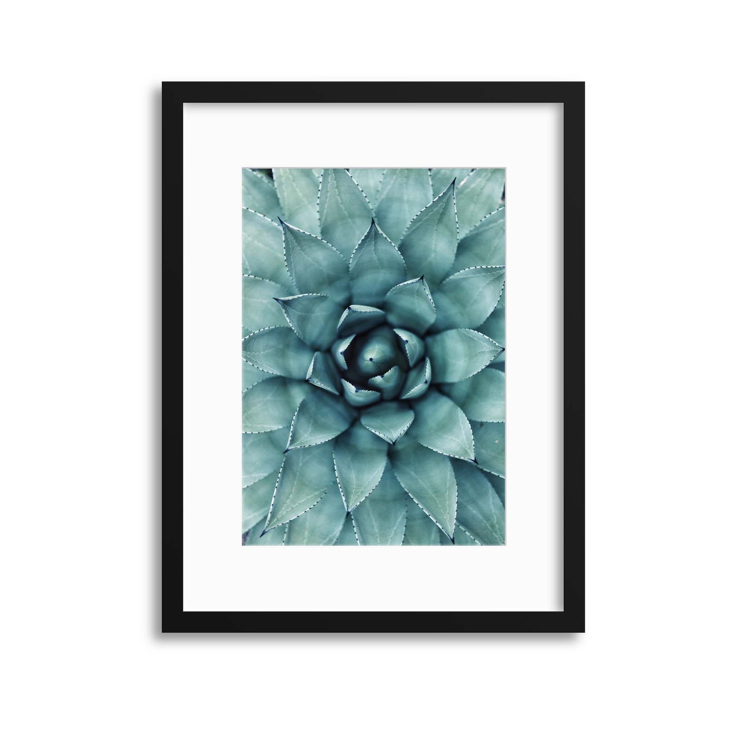 Agave Macro Framed Print - USTAD HOME