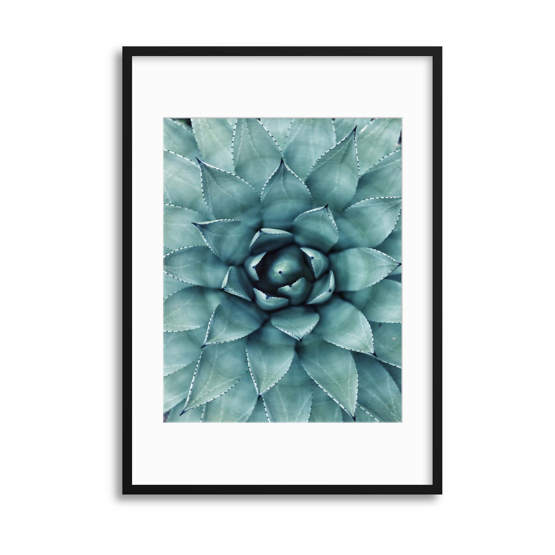 Agave Macro Framed Print - USTAD HOME